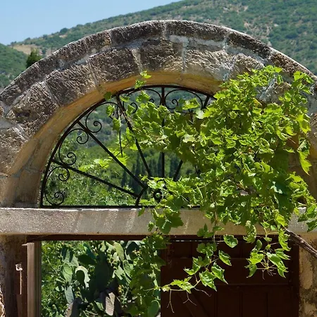 W Kefalonian Vintage Kefalonia Island
